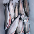 Load image into Gallery viewer, Pick Up Fridays in Kittery, ME 3 to 5PM
