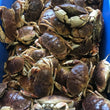 Load image into Gallery viewer, Pick Up Fridays in South Hampton, NH 10AM to 1PM
