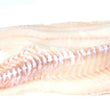 Load image into Gallery viewer, Pick Up Thursdays in Durham, NH 3 to 6PM
