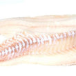 Load image into Gallery viewer, Pick Up Fridays in South Hampton, NH 10AM to 1PM
