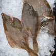 Load image into Gallery viewer, Pick Up Fridays in South Hampton, NH 10AM to 1PM
